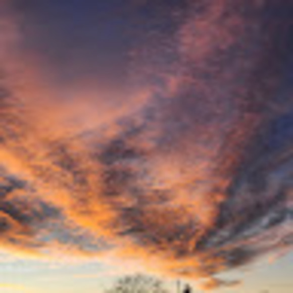 Meet your Posher, Genes - Picture 1 of 1